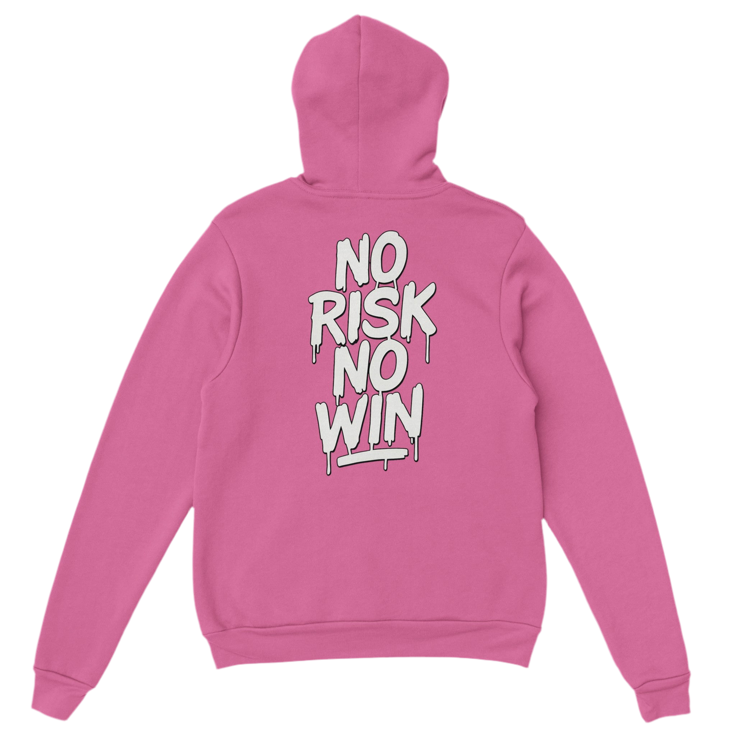 No Risk No Win hoodie