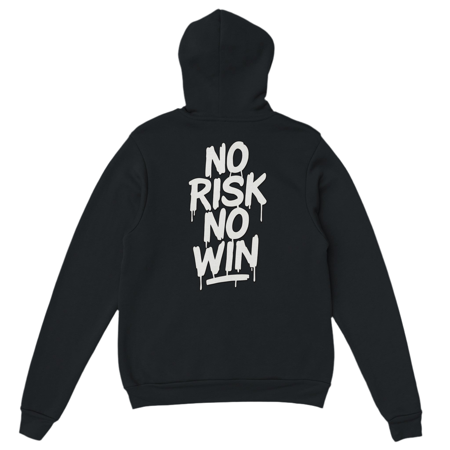 No Risk No Win hoodie